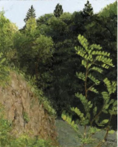 Val dele Mole (Povo)