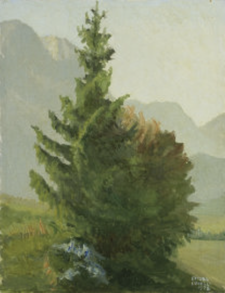Albero alla Brigolina