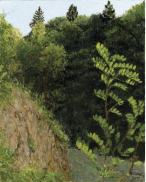 Val dele Mole (Povo)